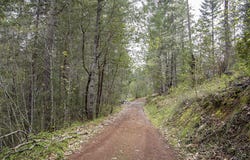 688 Crooks Creek Road, Selma, OR 97538