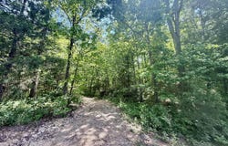 Bailey Road, Licking, MO 65542