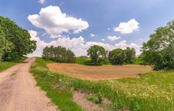 Xxx Orwell Road N, May Twp, MN 55047