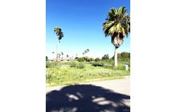 1931 Meadow Way Drive, Mission, TX 78572