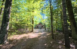 4401 Gregory Road, Wellston, MI 49689