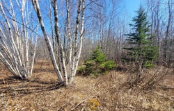 29 Reef Point Road, Addison, ME 04606