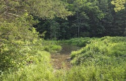 856 Byrd Road, Sneedville, TN 37869