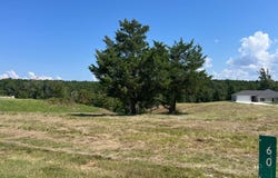 60 River Ridge Rd, Many, La, LA 71449