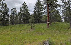 Jackpine Rd, CottonWood, ID 83522