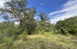 *Lot 57* Vacant NE Blackjack Loop unit: 1, Lee, FL 32059