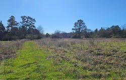 607 County Road 134, GARRISON, TX 75946