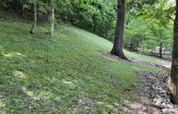 377 Springwood Ter, Hardy, AR 72542