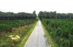 Baxter Kennington Rd, Kershaw, SC 29067