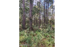 4515 MAHOGANY Boulevard, Bunnell, FL 32110