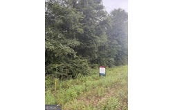 Harrison Davisboro Road lot: 7, Davisboro, GA 31018
