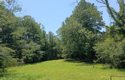 63 1/2 WOODSON DR, Laurel, MS 39443