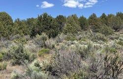 Medicine Mountain Drive, Beatty, OR 97621