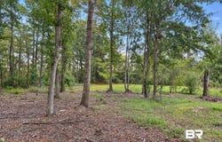 Denny Street, Mount Vernon, AL 36560