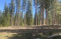921 Prospector Drive lot: 4, Clio, CA 96106