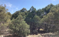 Tbd Shroyer Dr Hacienda Tr 1B, Rutheron, NM 87551