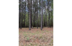 Tbd/Lot 1 Henry Oldham Road, Bear Creek, NC 27207