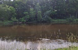 6897 RIVERSIDE Road, Evart, MI 49631