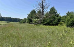 Parcel 4 Bright Road, Maple City, MI 49664