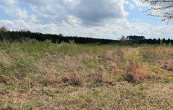 Hwy 172, Monticello, AR 71655