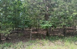 258 CR 472 lot: 41, Clarkridge, AR 72623