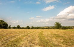 2300 Mcnelly Lane, Burton, TX 77835