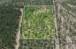 4.69 Acres Courtney Rd., Lumberton, MS 39455