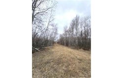 Tbd 450th Street, Fleming Twp, MN 55760