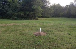 Lot 10 Fox Haven Drive, Mt Vernon, MO 65712