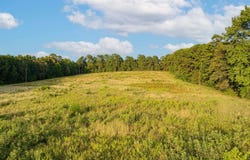 1234 Firetower Rd, Hallsville, TX 75650