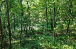 Hunter Road, Danville, OH 43014