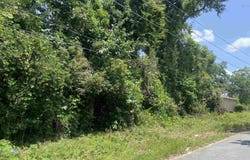 SE Osgood Avenue, Madison, FL 32340