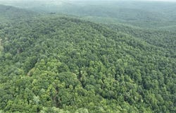 0 Griffin Lane, Millers Creek, NC 28651