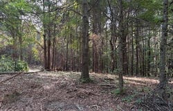 Mabelvale, AR 72103