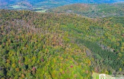 0 Willow Brook Road, Genesee, NY 14754