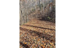 Lot 49j Indian Trail, Hayesville, NC 28904