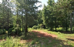 1515 Hughes Drive, Cumming, GA 30040