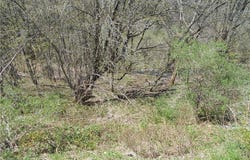 2430 Pine Swamp Road, Masonville, NY 13839