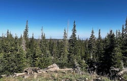 115 S Olympic DR, Brian Head, UT 84719