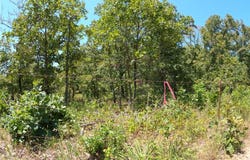 Roughleaf Road, Wright City, OK 74766
