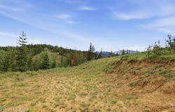 120 BLAZING SADDLE Ct, Pinehurst, ID 83850