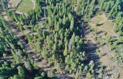 920 Chrome Mine Rd, Hayfork, CA 96041