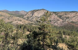 938 Snow Top Dr, Drake, CO 80515