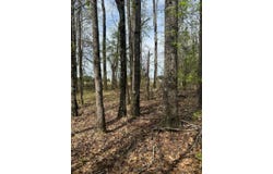 00 Bloomfield Road, Preston, MS 39354