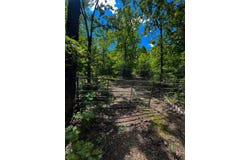 Gatewood Mo, Gatewoood, MO 63942