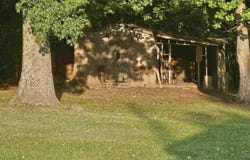 4211 Middendorf Rd, Hartsville, SC 29550