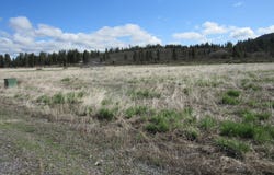 Cattle Drive, Chiloquin, OR 97624
