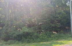 733 Grand View Drive, Howard, OH 43028