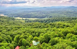 100 Wintermute Drive, Mineral Bluff, GA 30559