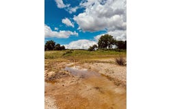 2017 River Shoals Road, Palo Pinto, TX 76067